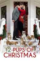12 Pups of Christmas Poster 6
