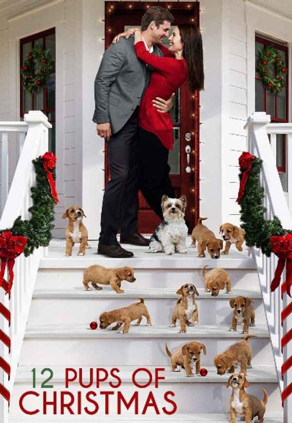 12 Pups of Christmas Poster 7
