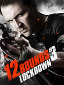 12 Rounds 3: Lockdown - Hindi Poster 3