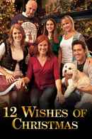 12 Wishes of Christmas Poster 3