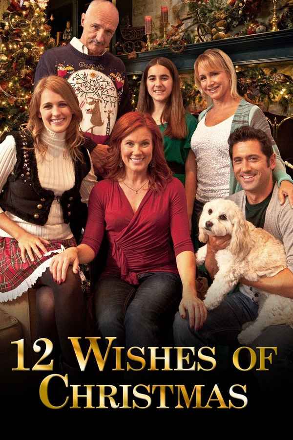 12 Wishes of Christmas Poster 3
