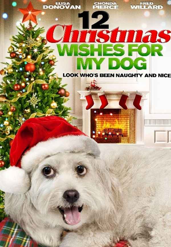 12 Wishes of Christmas Poster 4