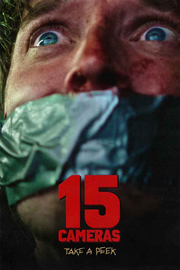 15 Cameras Poster 2