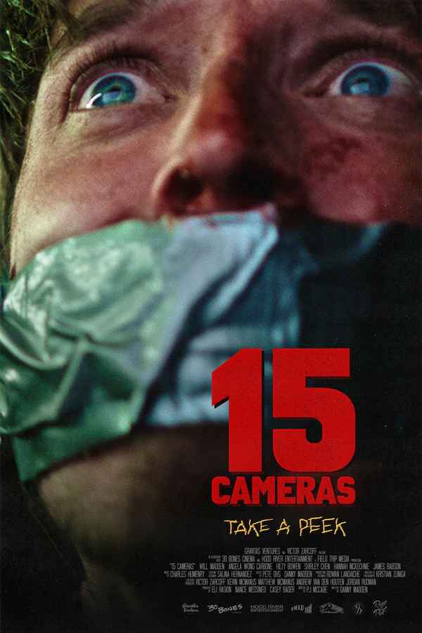 15 Cameras Poster 3