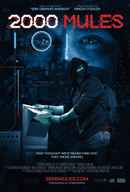 2000 Mules Poster 7
