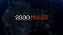 2000 Mules Poster 3