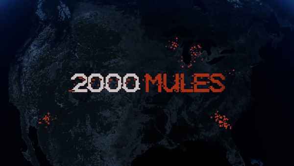 2000 Mules Poster 3