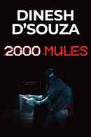 2000 Mules Poster 5