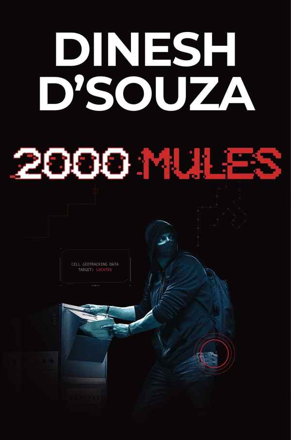2000 Mules Poster 5