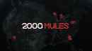 2000 Mules Poster 2