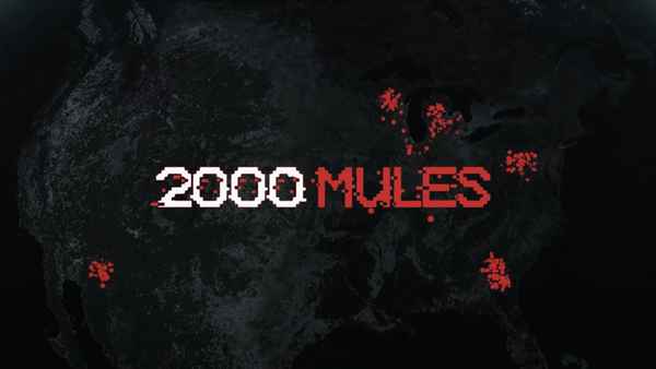 2000 Mules Poster 2