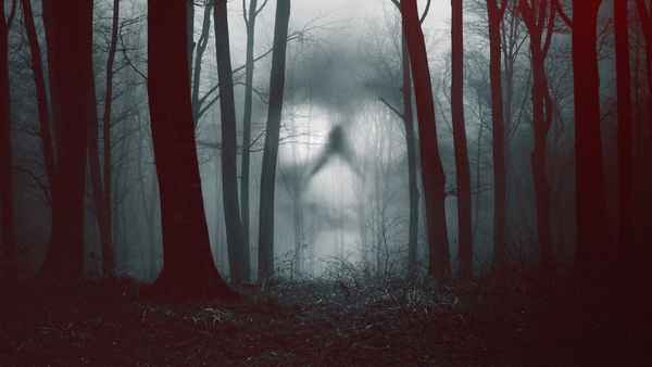 28 Days Haunted Poster 4