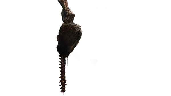 28 Years Later Poster 4