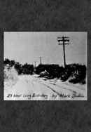 29 Hour Long Birthday Poster 2