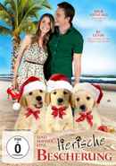 3 Holiday Tails Poster 5