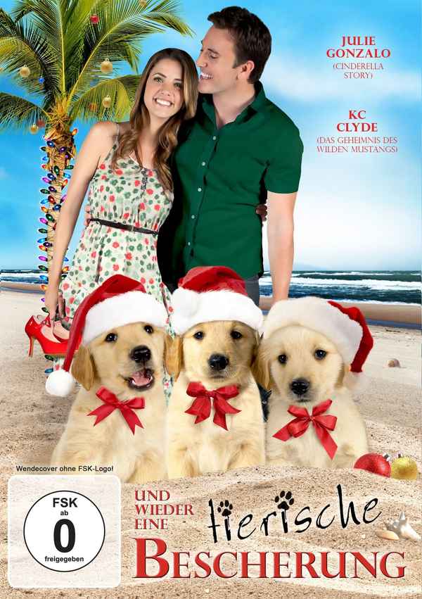 3 Holiday Tails Poster 5