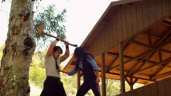 3 Musketeers Poster 2