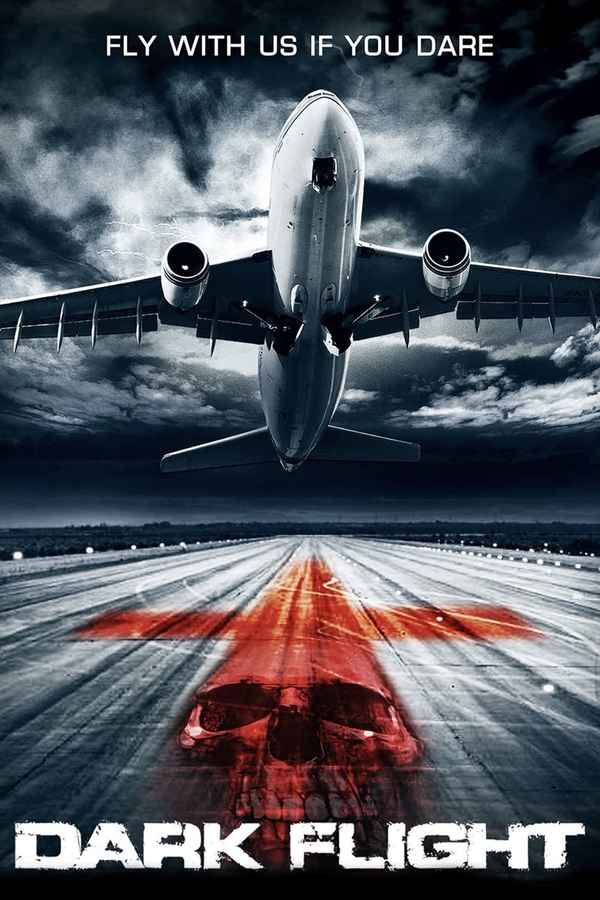 407 Dark Flight Poster 1