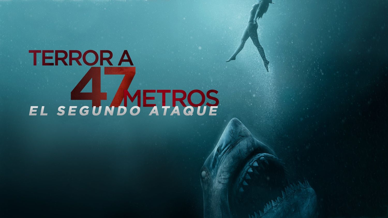 47 Meters Down: Uncaged Movie (2019) | Release Date, Cast, Trailer