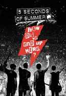 5 Seconds of Summer: How Did We End Up Here? Poster 6
