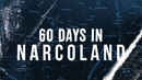 60 Days In: Narcoland Poster 4