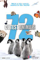 72 Cutest Animals Poster 6