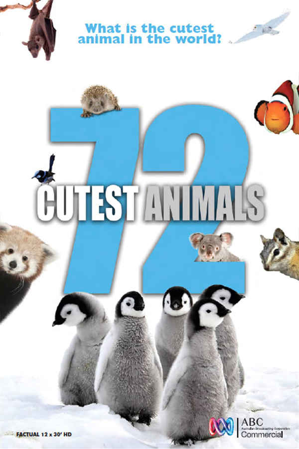 72 Cutest Animals Poster 6
