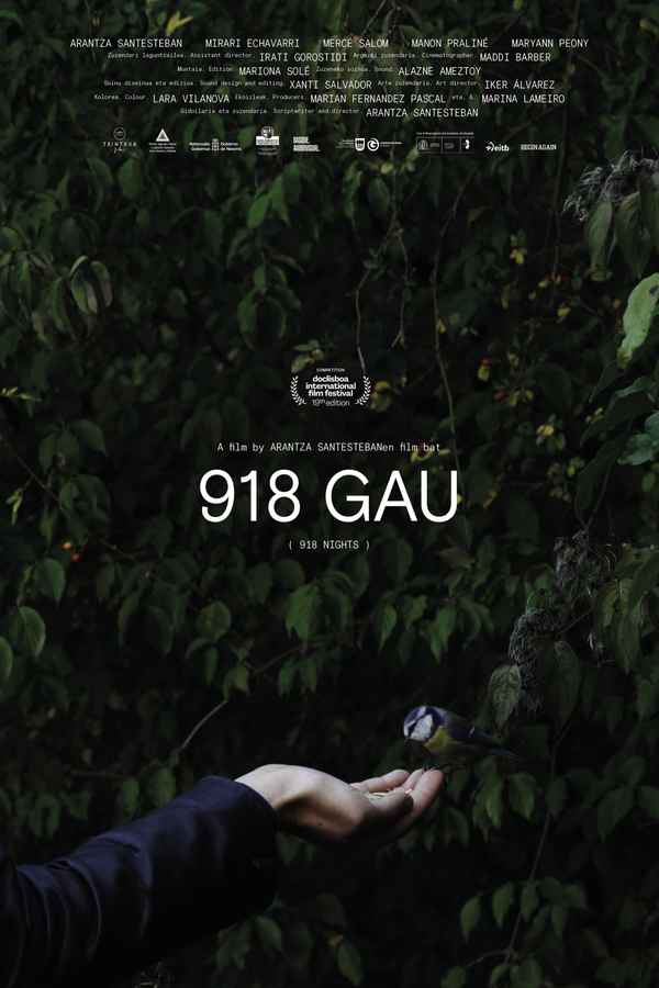 918 Nights Poster 1