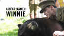 A Bear Named Winnie Poster 3