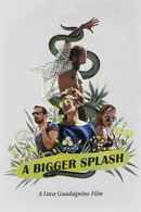 A Bigger Splash Poster 7