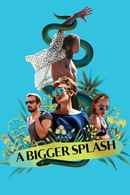 A Bigger Splash Poster 5