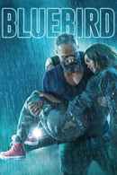 A Bluebird in My Heart Poster 1