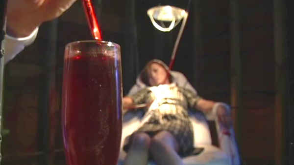 A Brush With Death Poster 1