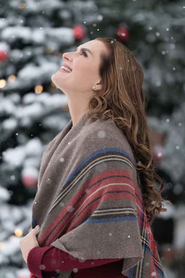 A Castle for Christmas Poster 6