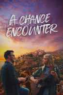 A Chance Encounter Poster 3