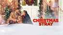 A Christmas Stray Poster 1