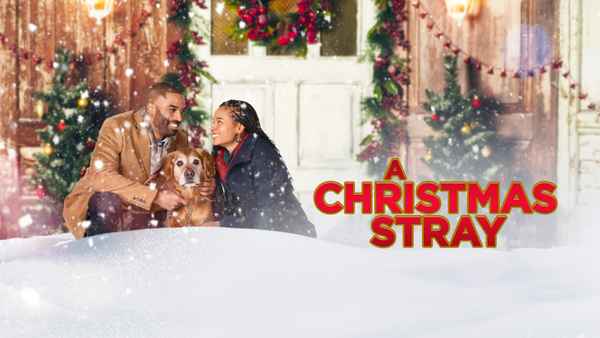 A Christmas Stray Poster 1
