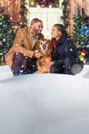 A Christmas Stray Poster 4