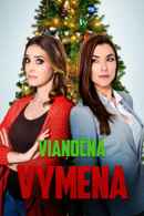 A Christmas Switch Poster 5