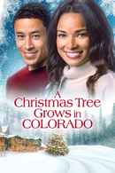 A Christmas Tree Grows in Colorado Poster 4