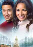 A Christmas Tree Grows in Colorado Poster 7