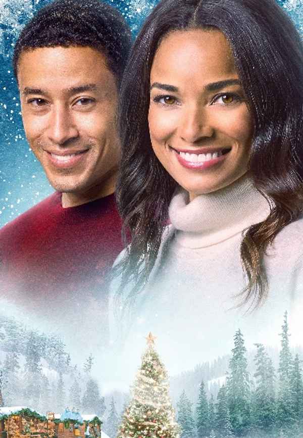 A Christmas Tree Grows in Colorado Poster 7