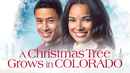 A Christmas Tree Grows in Colorado Poster 1