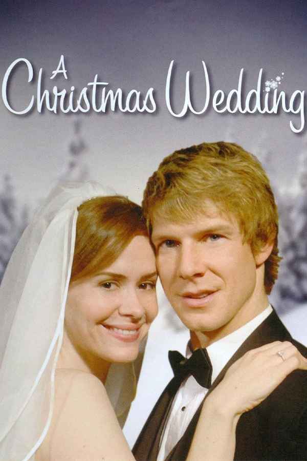 A Christmas Wedding Poster 6