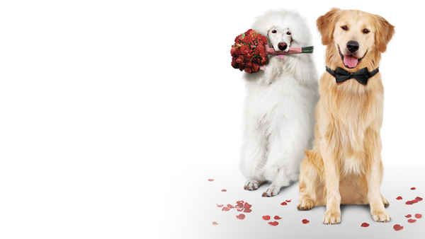 A Christmas Wedding Tail Poster 2