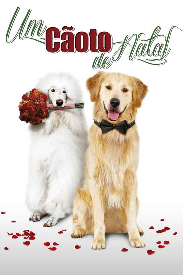 A Christmas Wedding Tail Poster 6