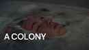 A Colony Poster 1