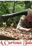 A Curious Tale Poster 6