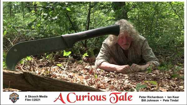 A Curious Tale Poster 1