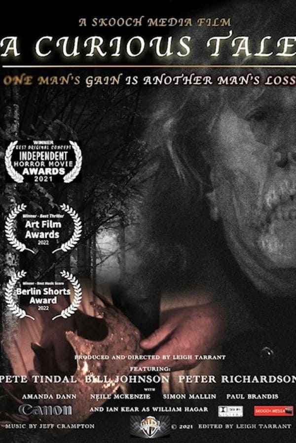 A Curious Tale Poster 4